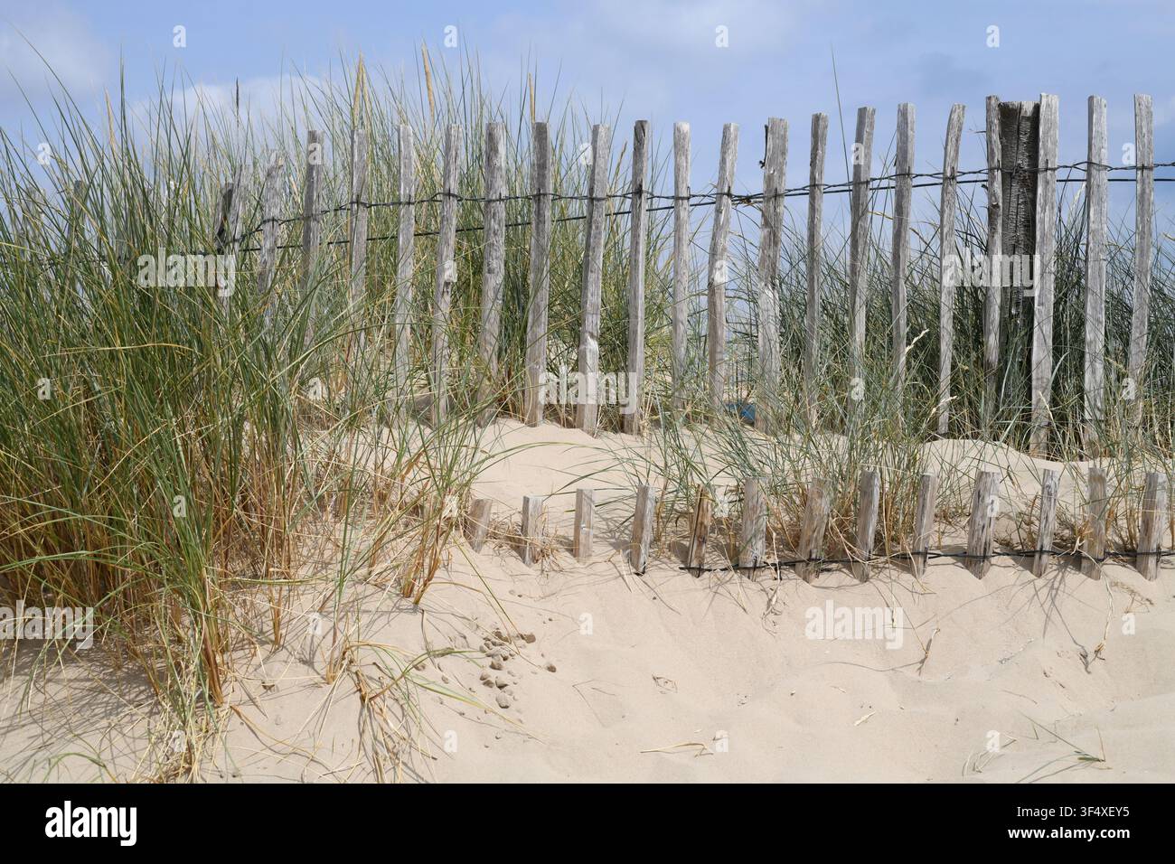 Plage dorée de Camber Sands Banque D'Images