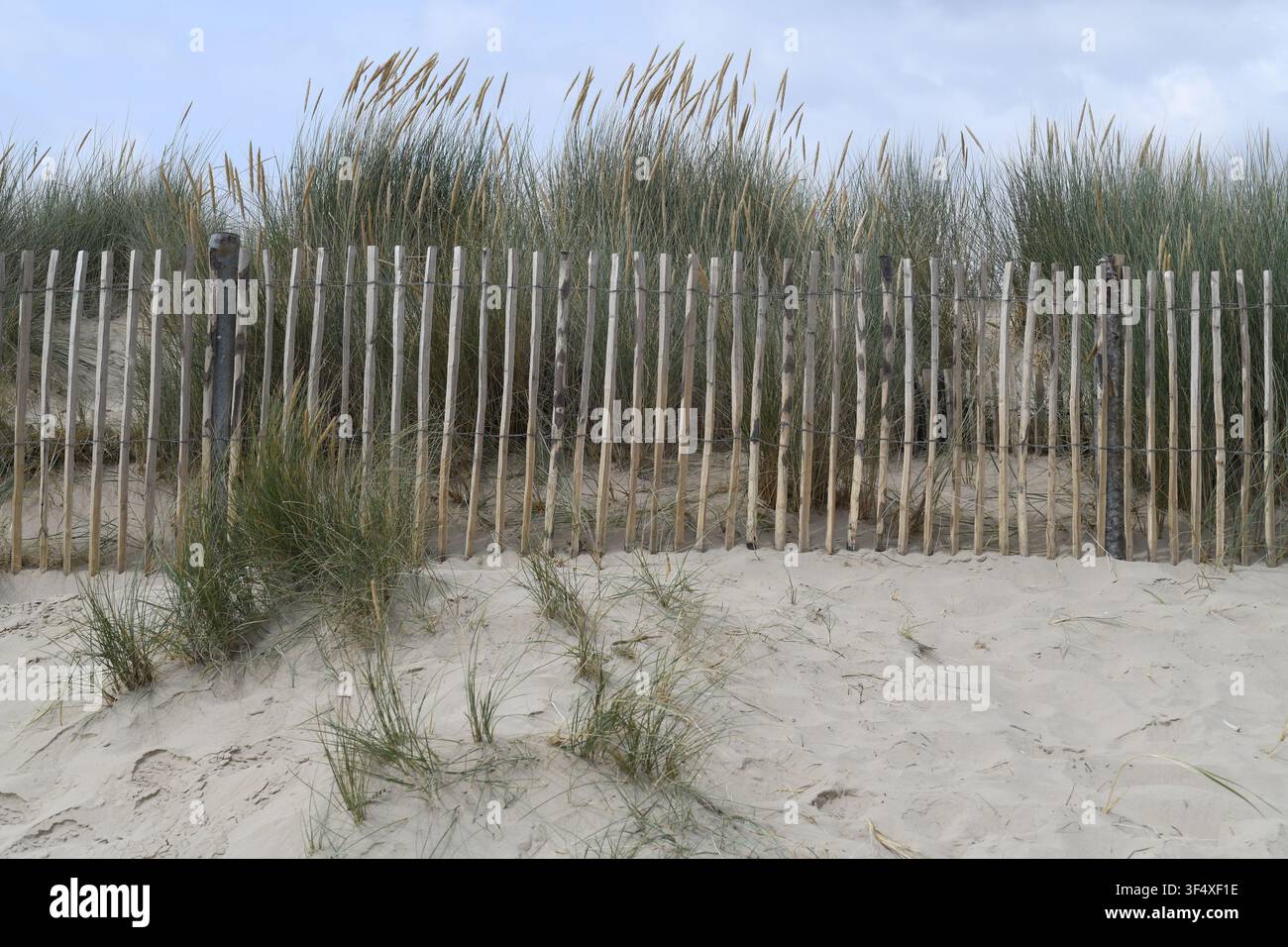 Plage dorée de Camber Sands Banque D'Images