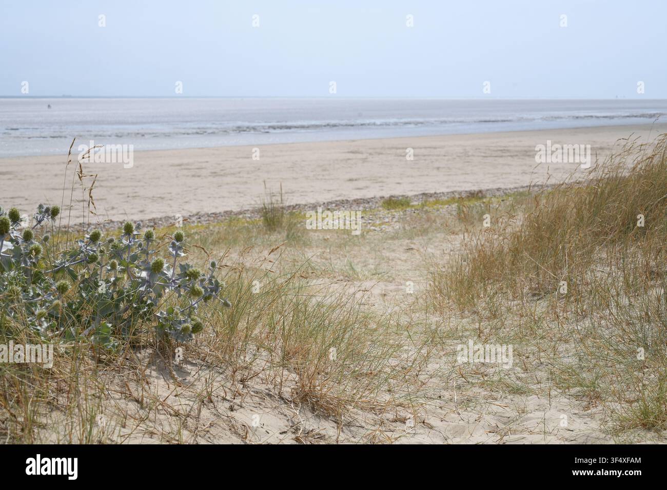 Plage dorée de Camber Sands Banque D'Images