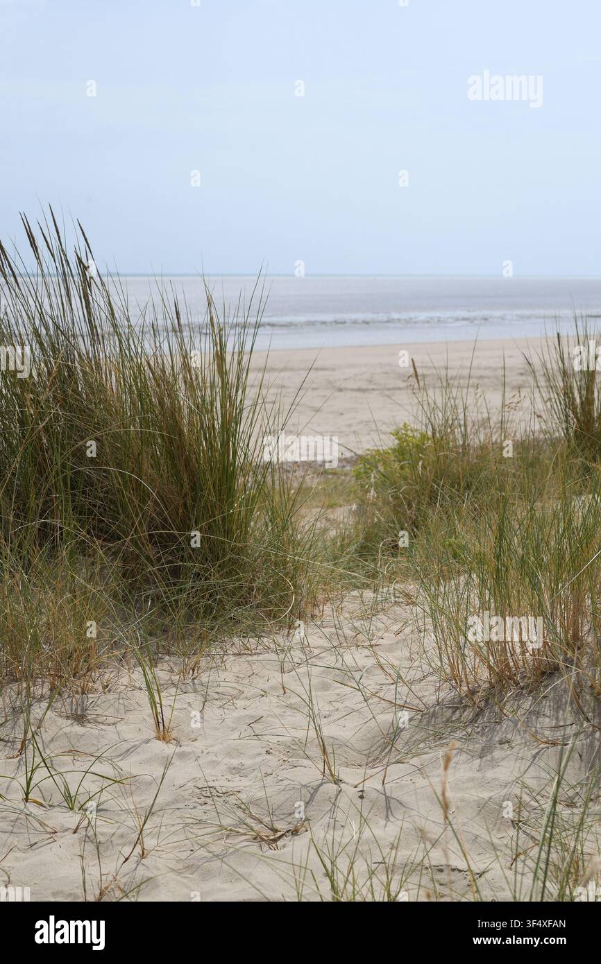 Plage dorée de Camber Sands Banque D'Images