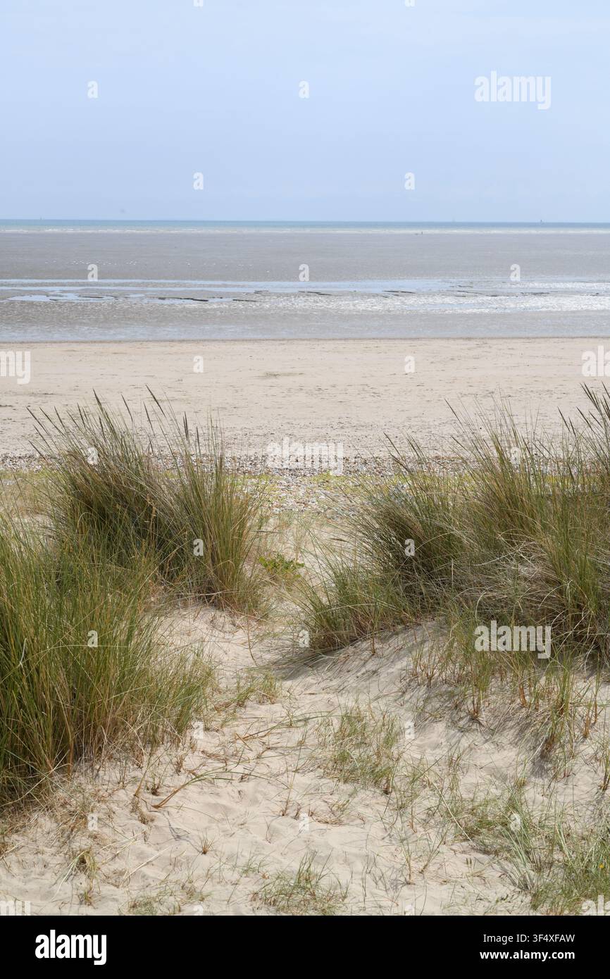 Plage dorée de Camber Sands Banque D'Images