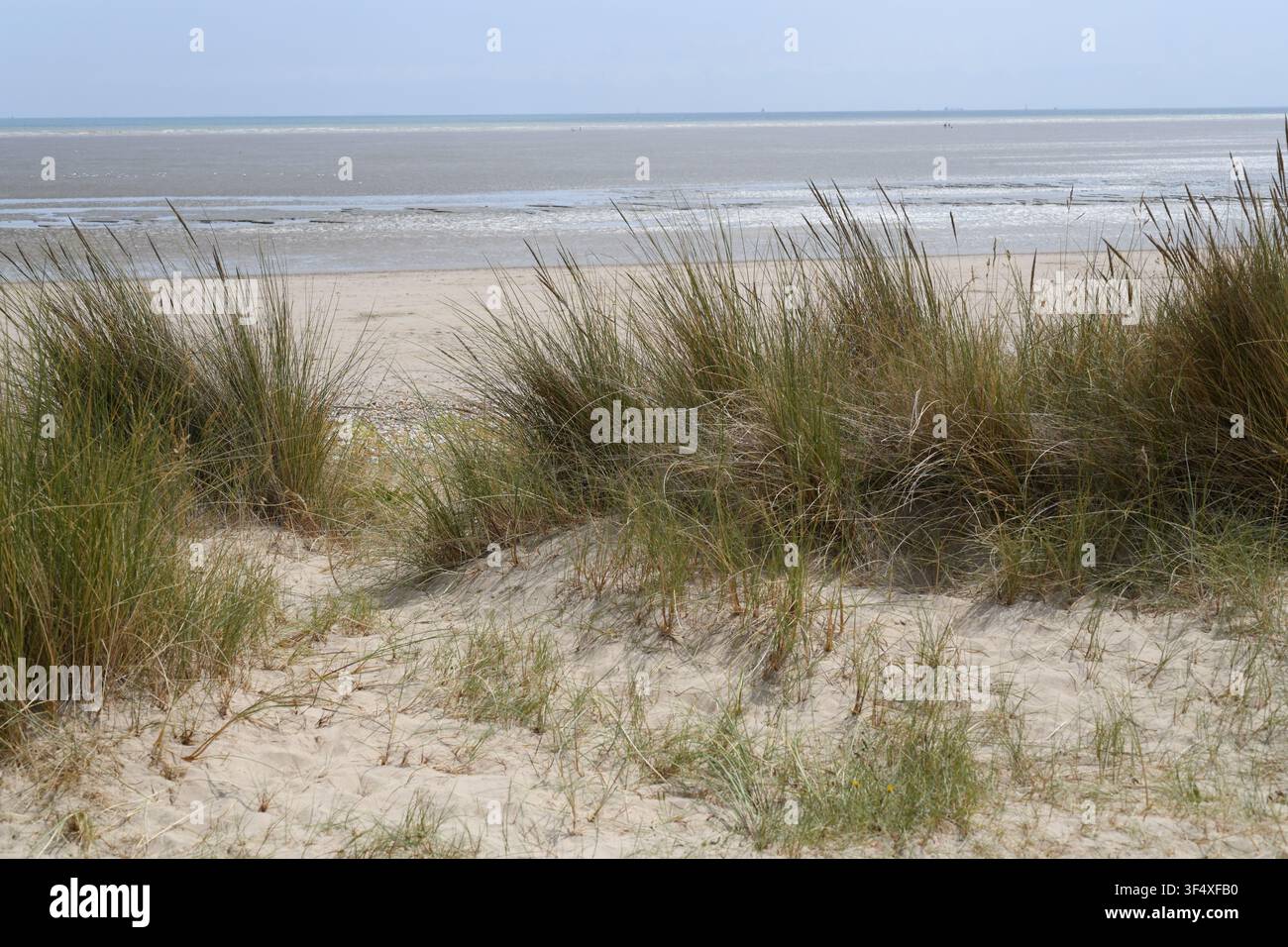 Plage dorée de Camber Sands Banque D'Images