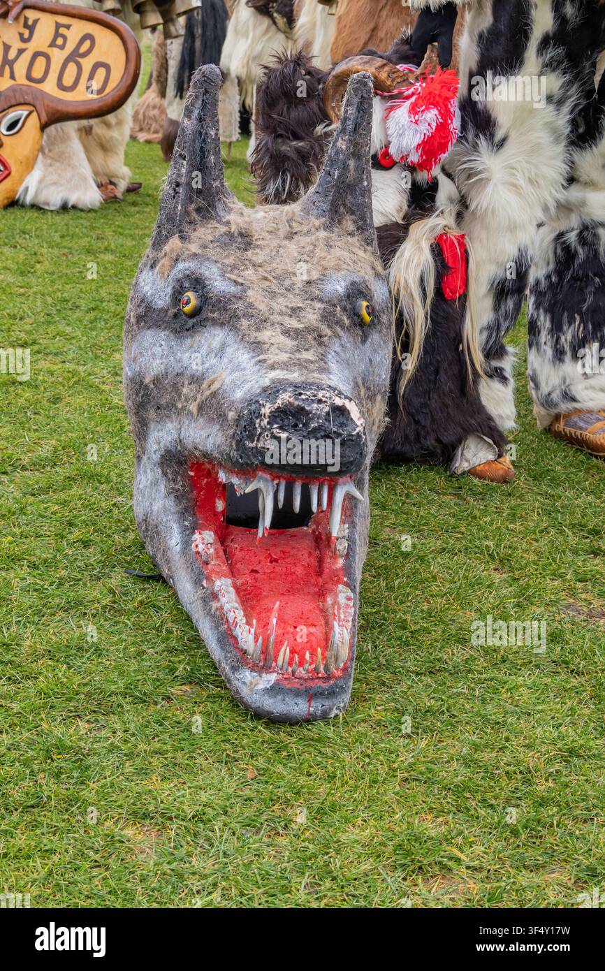 Simitli, Blagoevgrad, Bulgarie. 10 janvier 2026. Masque de loup lors d'un festival Kukeri en Bulgarie. Banque D'Images