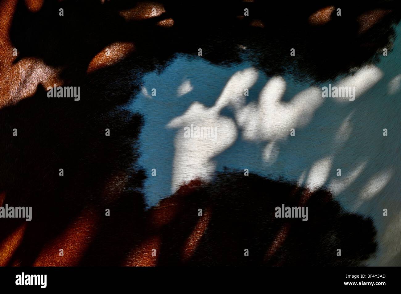 Une vue macro détaillée d'un pelage de cheval brun illuminé par une lumière naturelle vive, créant un motif abstrait à contraste élevé avec des silhouettes dramatiques et des textures douces. Banque D'Images