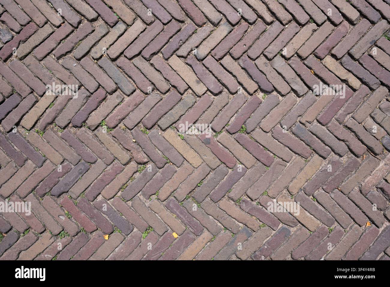 Revêtement de briques disposées selon un motif traditionnel en épi Banque D'Images