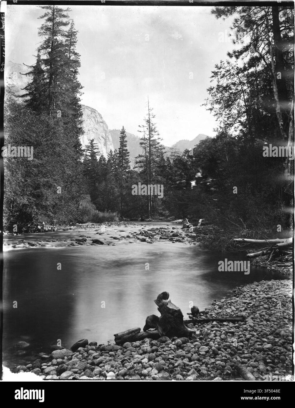 La jungle dans le Kings River Canyon, comté de Fresno, Californie, a. Hillers, un photographe américain, lors de l’expédition Powell, vers 1580 n’est pas applicable car l’expédition a eu lieu à la fin du XIXe siècle, plus précisément la photographie date de la fin du XIXe siècle. Banque D'Images