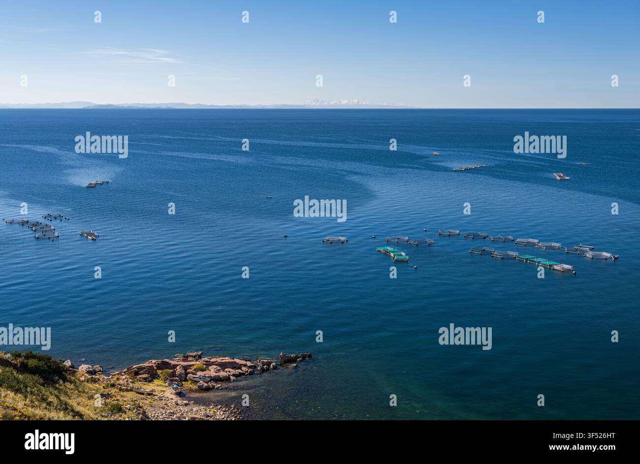 Vue panoramique sur le lac Titicaca depuis une rive rocheuse, montrant des fermes de truite d'aquaculture flottantes parsemant l'eau bleu profond, Pérou Banque D'Images