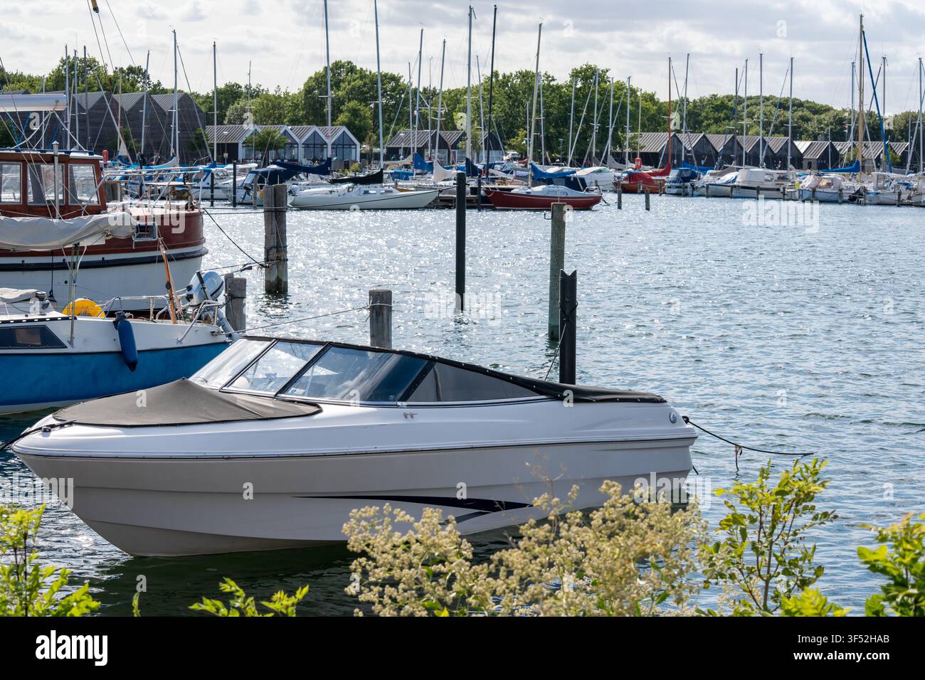 Petit bateau à moteur amarré dans une marina en été Banque D'Images