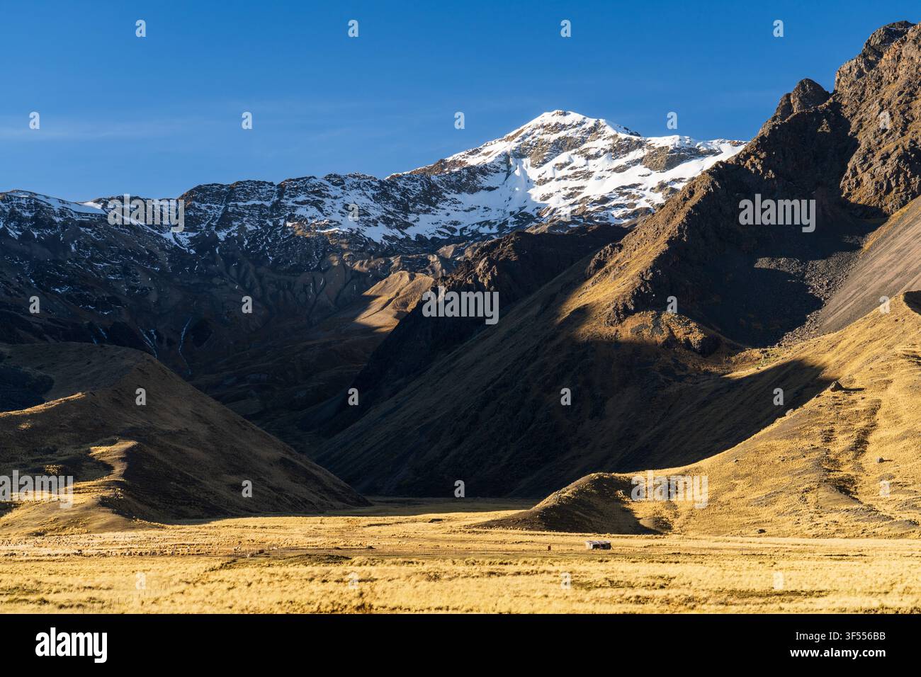 Vue panoramique de haute altitude sur le sommet enneigé du Chimboya et les vallées accidentées de la chaîne de montagnes Vilcanota, Pérou Banque D'Images