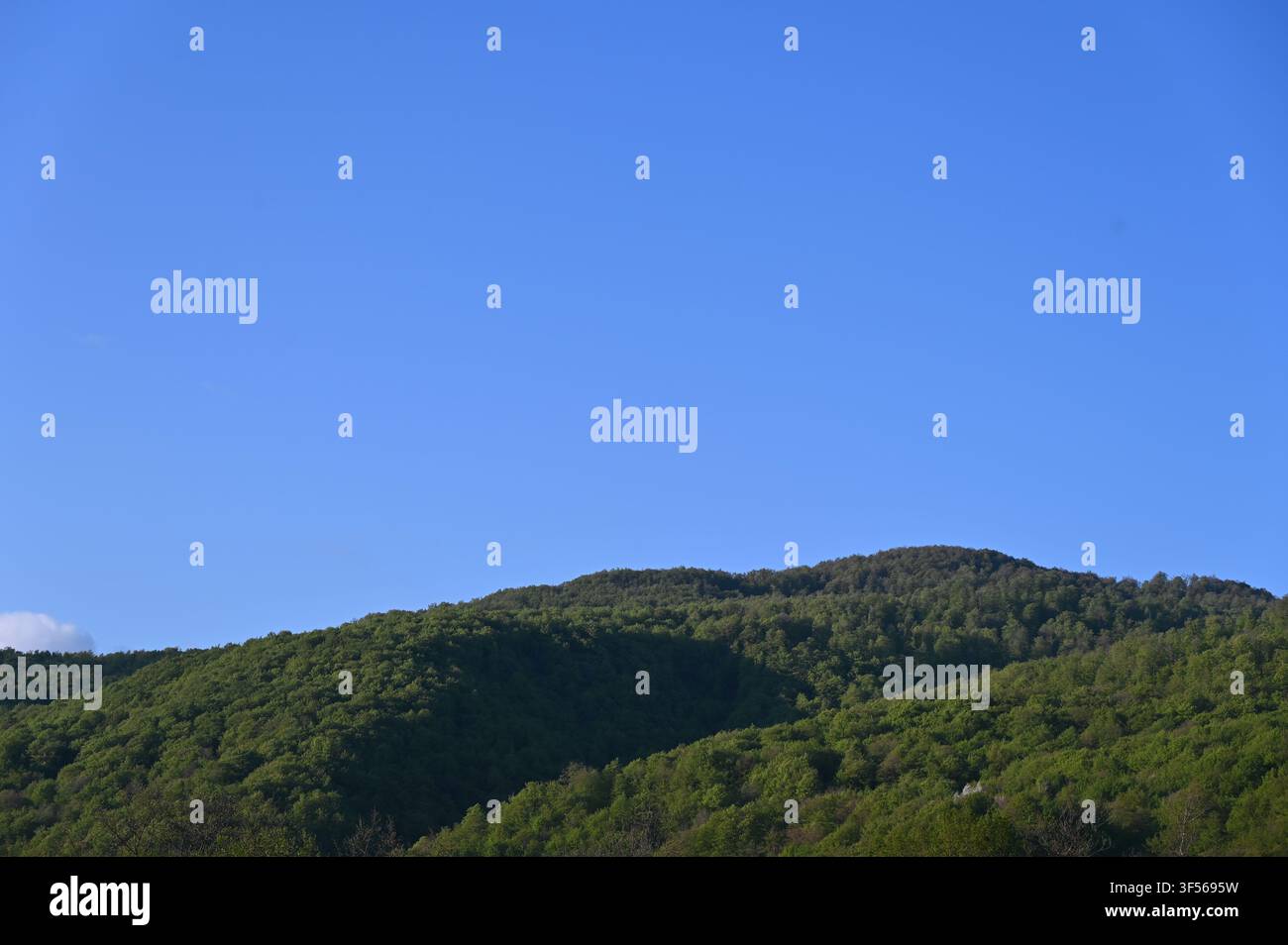 Un paysage pittoresque présentant des collines ondulantes entièrement recouvertes de forêts denses et luxuriantes sous un ciel bleu vif et sans nuages par une journée ensoleillée. Banque D'Images