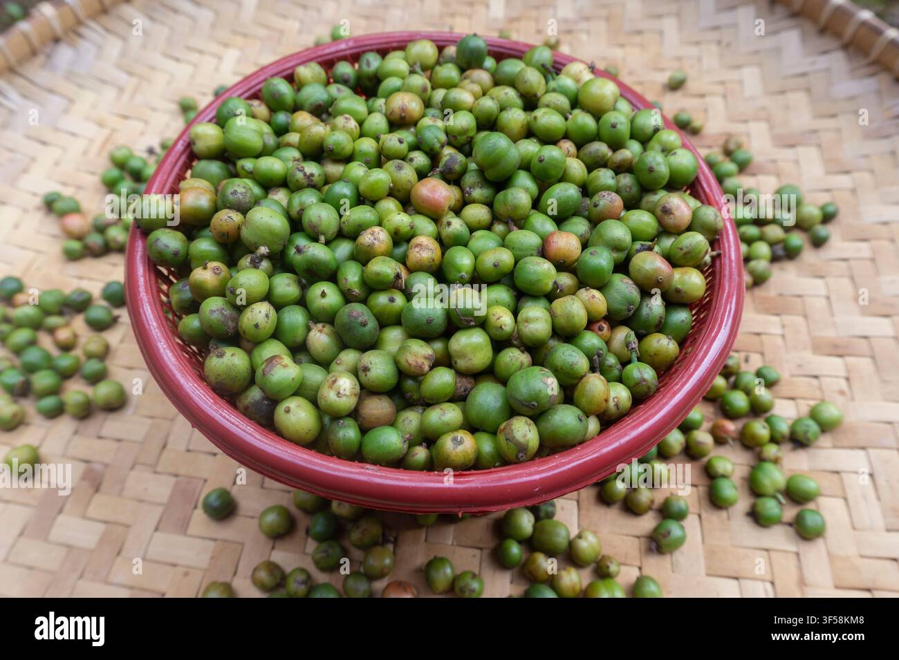 Cerises de café vert dans un panier sur un tapis tissé Banque D'Images