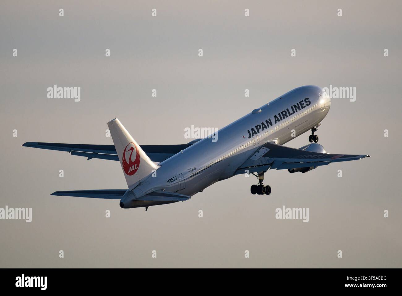 Avion de ligne Japan Airlines Boeing 767-300ER (JA657J) décollant de l'aéroport de Haneda Banque D'Images