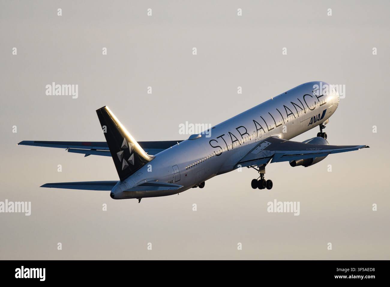 Avion de ligne All Nippon Airways Boeing 767-300ER (JA614A) en livrée Star Alliance Banque D'Images