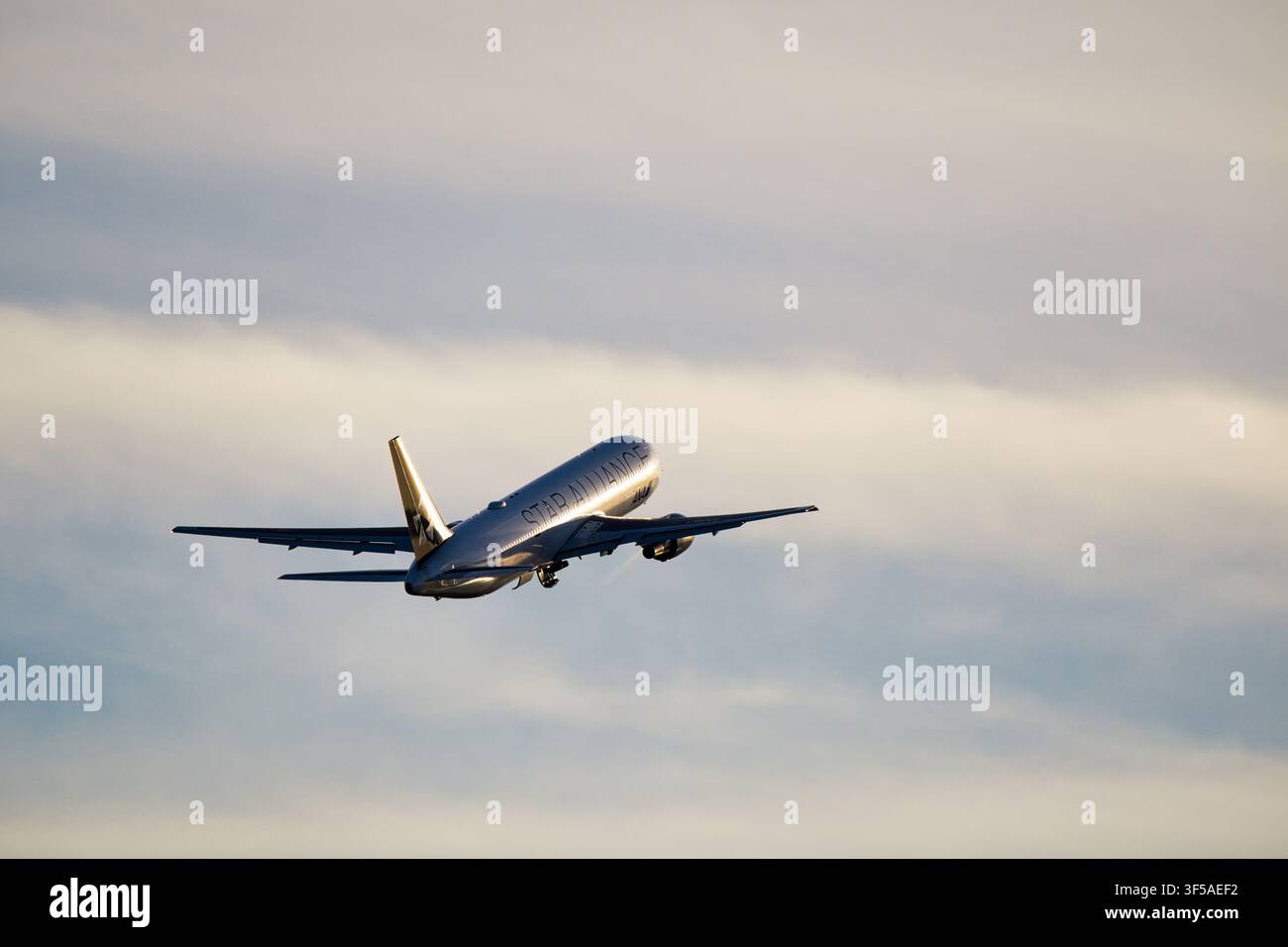 Avion de ligne All Nippon Airways Boeing 767-300ER (JA614A) en livrée Star Alliance Banque D'Images