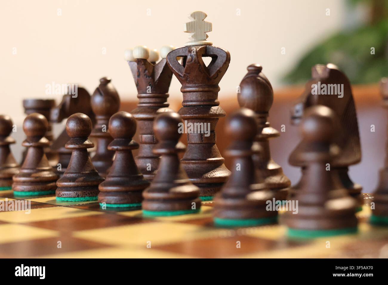 Pièces d'échecs noires disposées sur un échiquier Banque D'Images