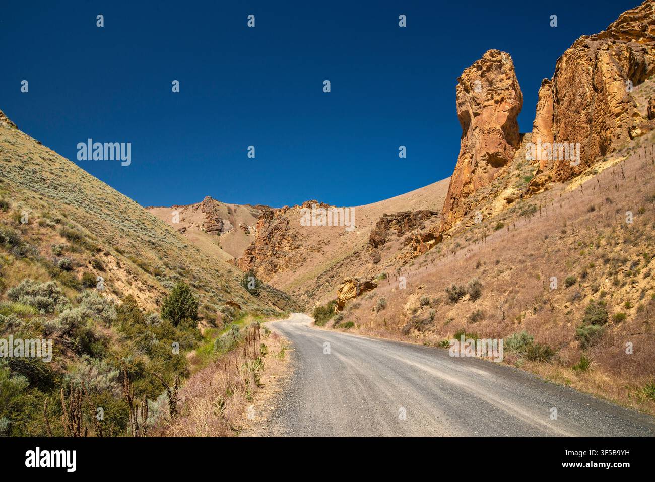 Route de Leslie Gulch, formations rocheuses de tuf de Juniper Gulch près du lac Owyhee, terres BLM dans le désert de Owyhee, Oregon, États-Unis Banque D'Images