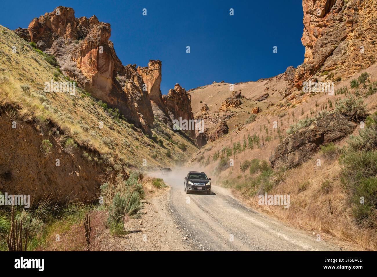 Route de Leslie Gulch, formations rocheuses de tuf de Juniper Gulch près du lac Owyhee, terres BLM dans le désert de Owyhee, Oregon, États-Unis Banque D'Images