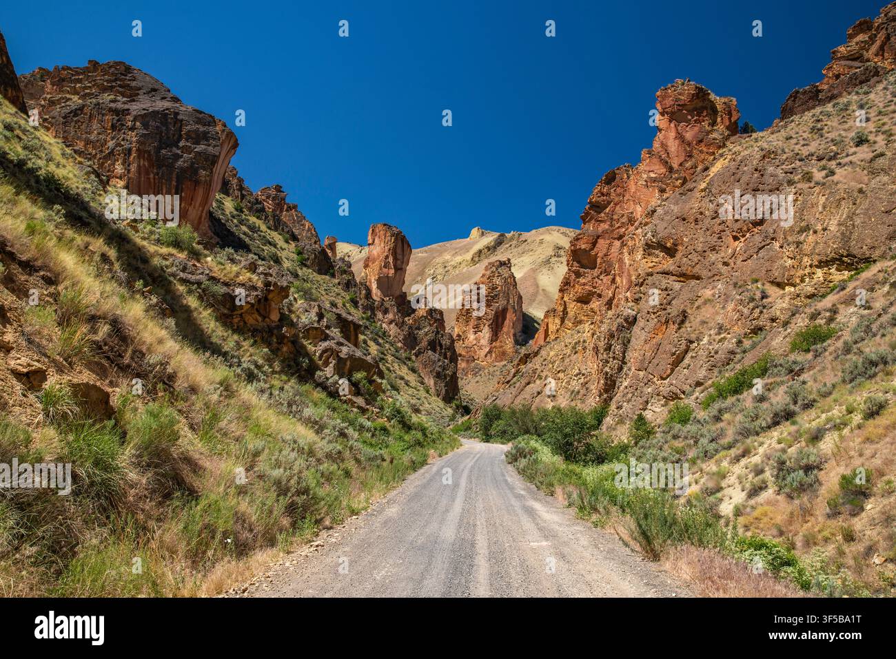 Route de Leslie Gulch, formations rocheuses de tuf de Juniper Gulch près du lac Owyhee, terres BLM dans le désert de Owyhee, Oregon, États-Unis Banque D'Images
