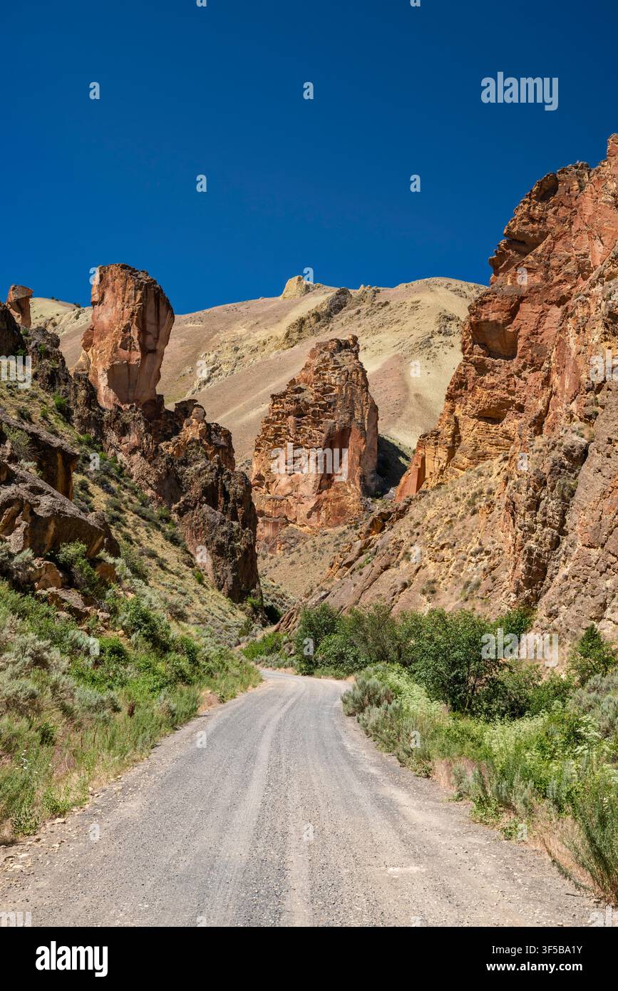 Route de Leslie Gulch, formations rocheuses de tuf de Juniper Gulch près du lac Owyhee, terres BLM dans le désert de Owyhee, Oregon, États-Unis Banque D'Images