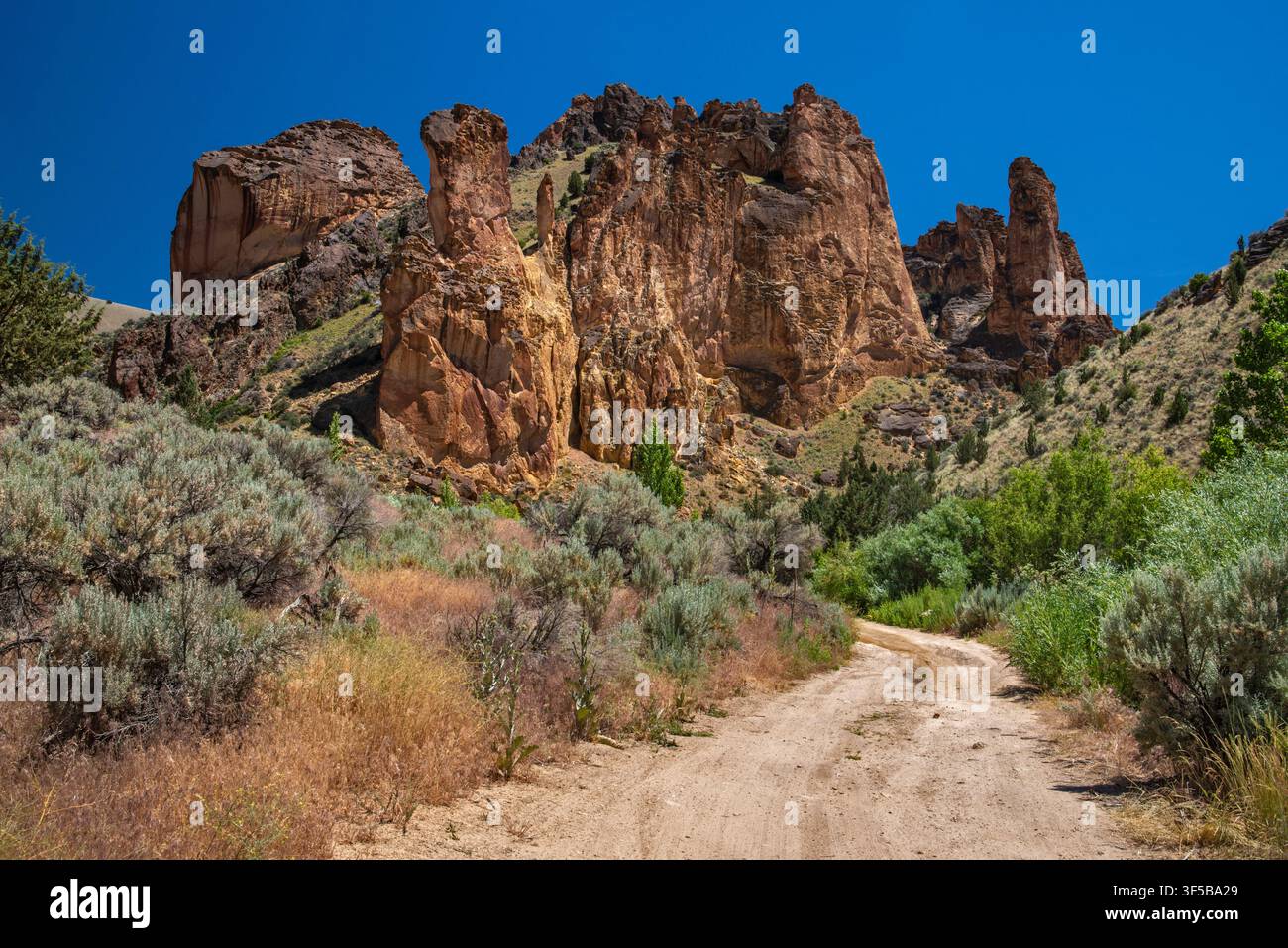 Route de Leslie Gulch, formations rocheuses de tuf de Juniper Gulch près du lac Owyhee, terres BLM dans le désert de Owyhee, Oregon, États-Unis Banque D'Images