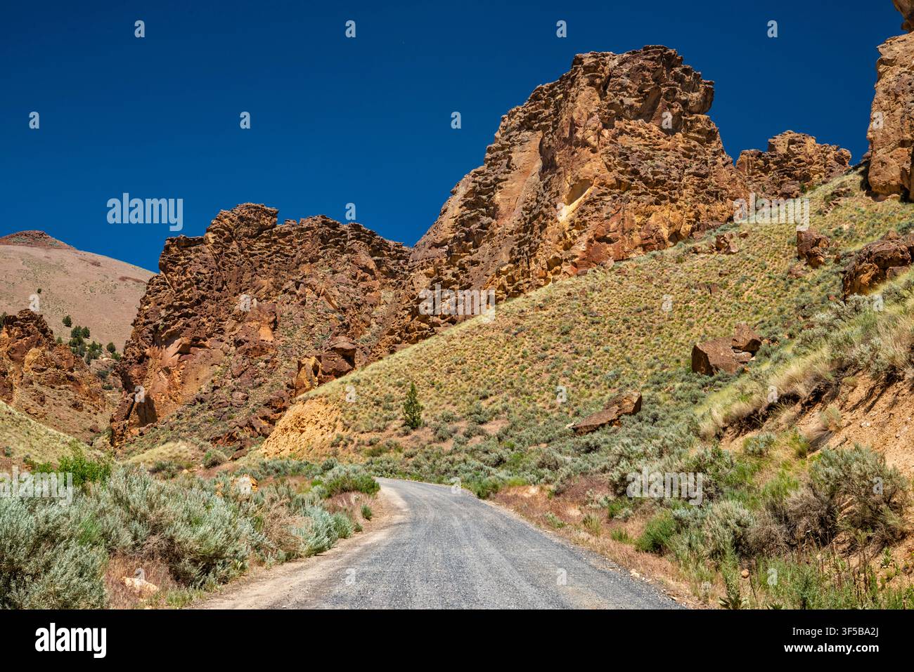Route de Leslie Gulch, formations rocheuses de tuf de Juniper Gulch près du lac Owyhee, terres BLM dans le désert de Owyhee, Oregon, États-Unis Banque D'Images