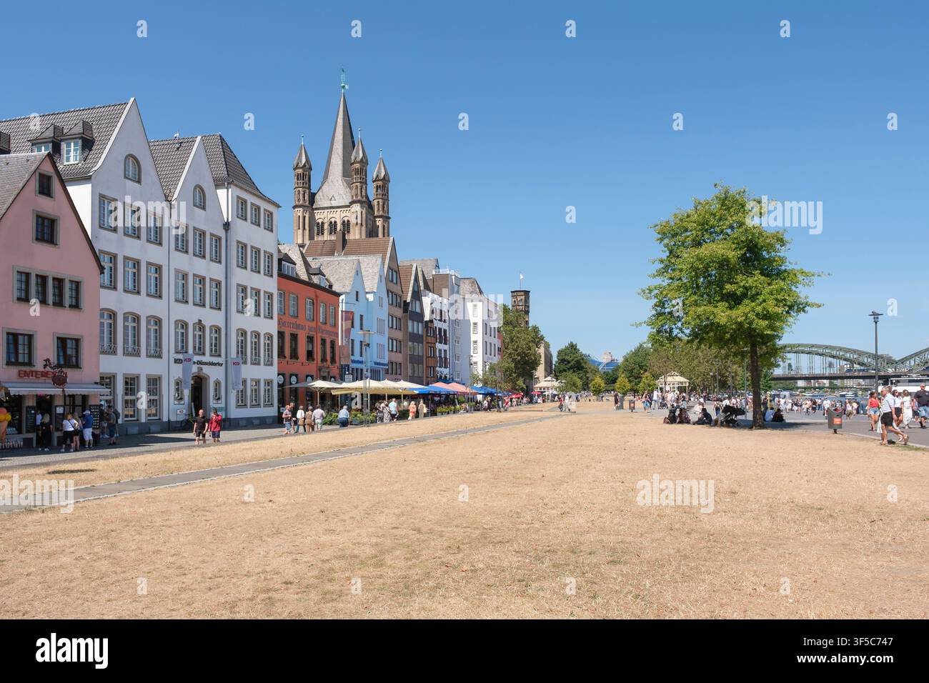 Vue sur la promenade de la vieille ville de Cologne (Rheingarten) sous un ciel d'été radieux. La pelouse de repos habituellement verte au premier plan est due à la persistance Banque D'Images