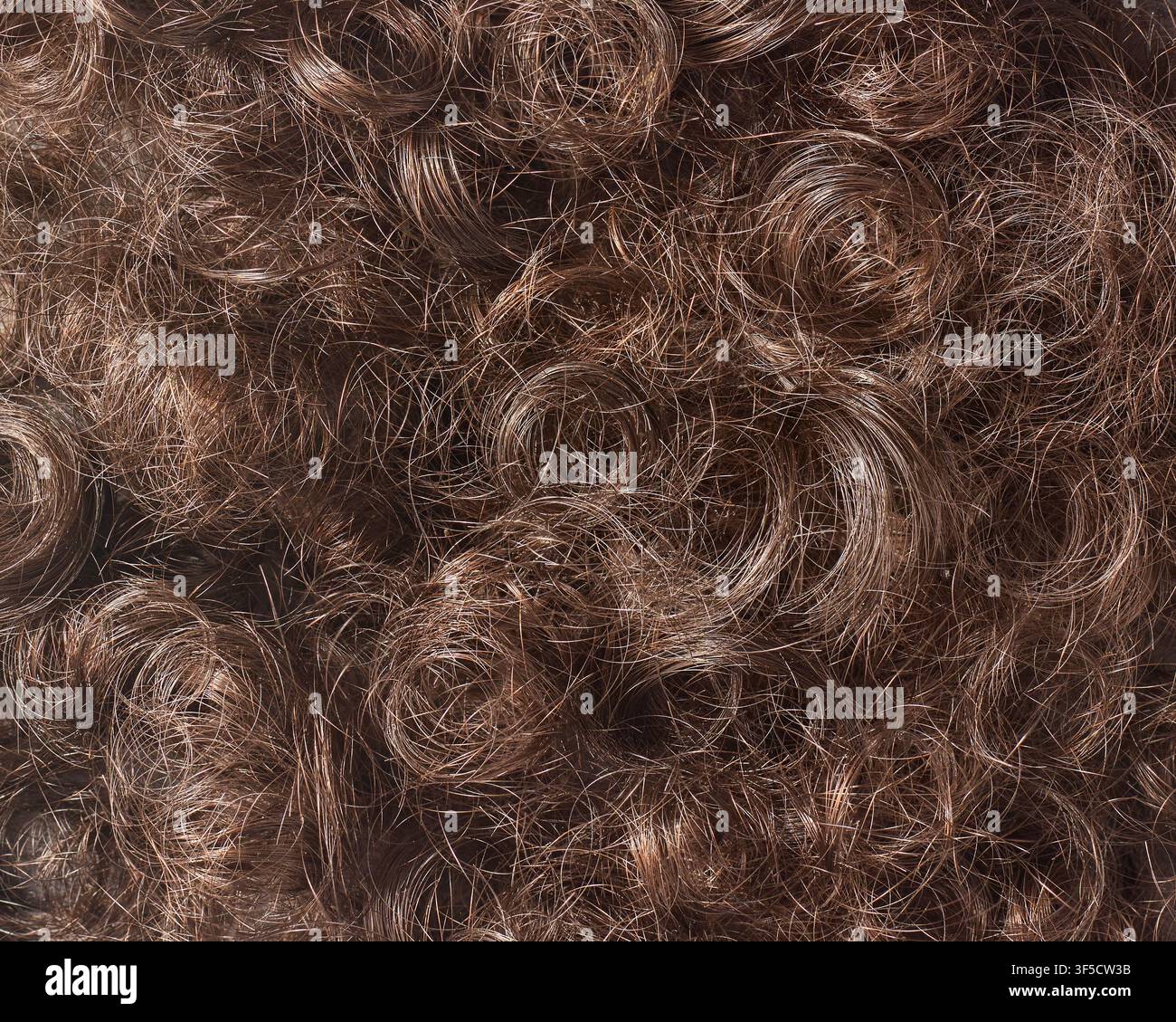 cheveux bruns bouclés en arrière-plan plein cadre, mèches épaisses et ondulées et boucles naturelles désordonnées en gros plan, concept de beauté et de soins capillaires Banque D'Images