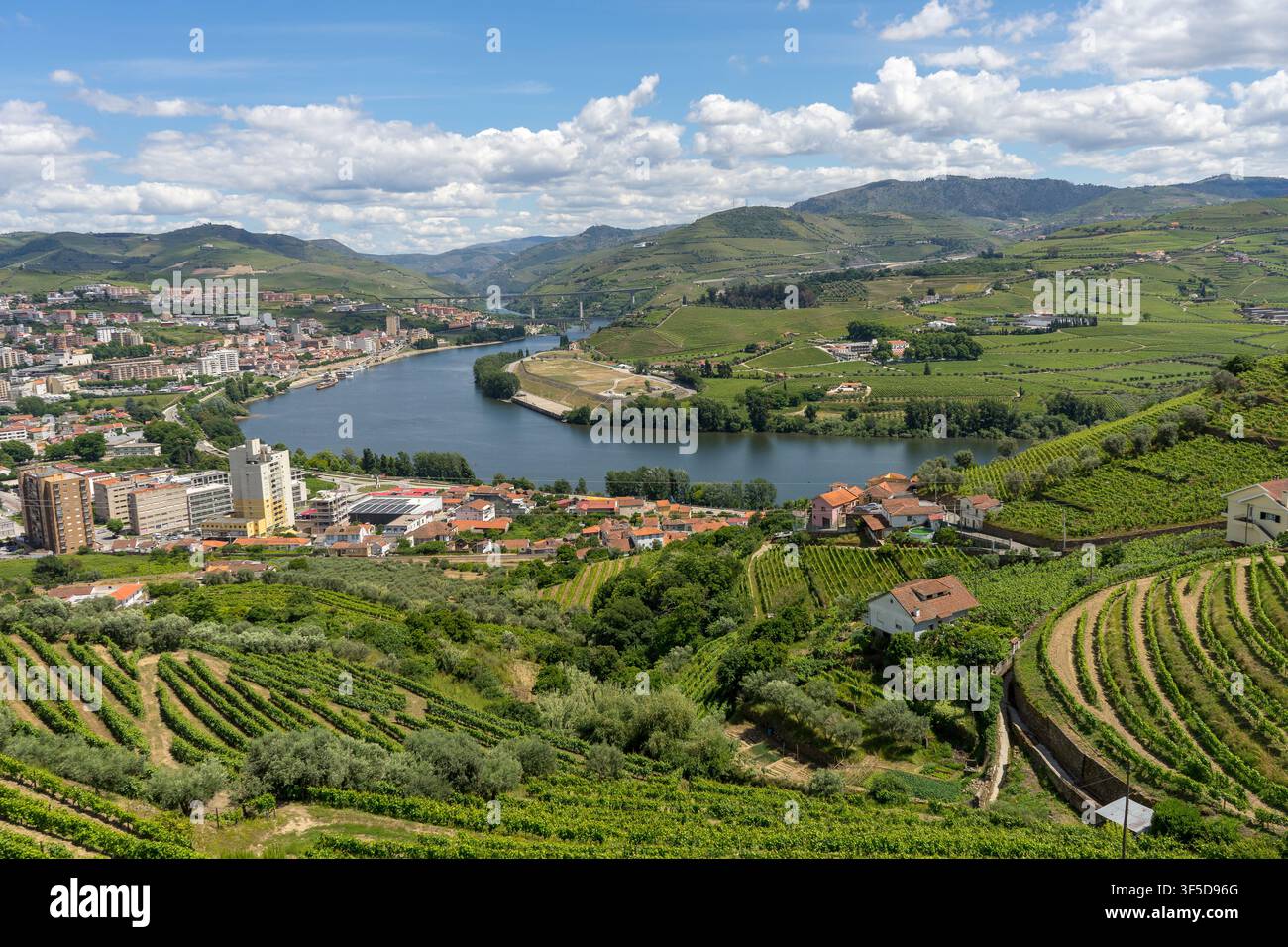Vue panoramique de Peso da Regua et du fleuve Douro entourés de vignes en terrasses dans le val du Douro, Portugal Banque D'Images