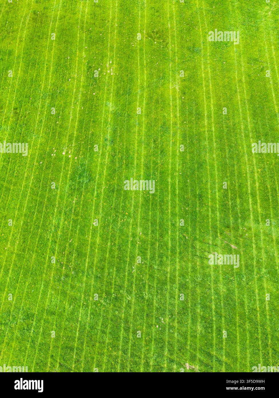 Vue aérienne du motif formé par un pâturage de champ agricole avec des traces de pneus de tracteur. Aucune personne. Banque D'Images