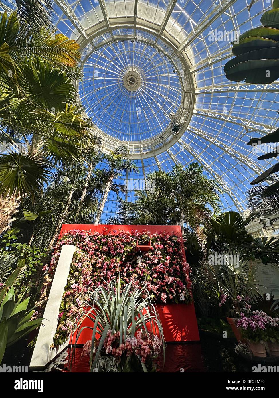 Bronx, New York, États-Unis - 15 mars 2025 : Exposition d'orchidées imposante sous un couvert tropical au New York Botanical Garden Banque D'Images