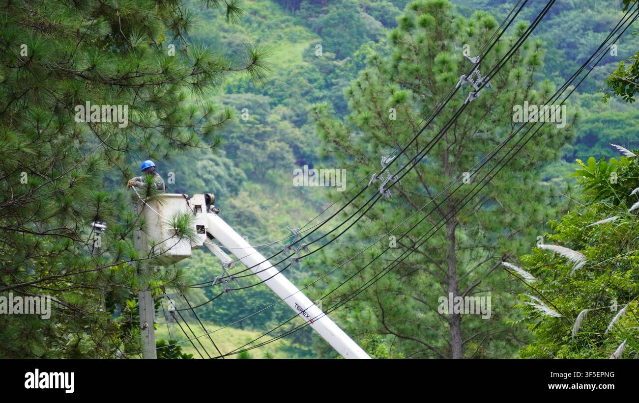 Technicien d'électricité travaillant sur des câbles électriques dans une zone montagneuse boisée Banque D'Images