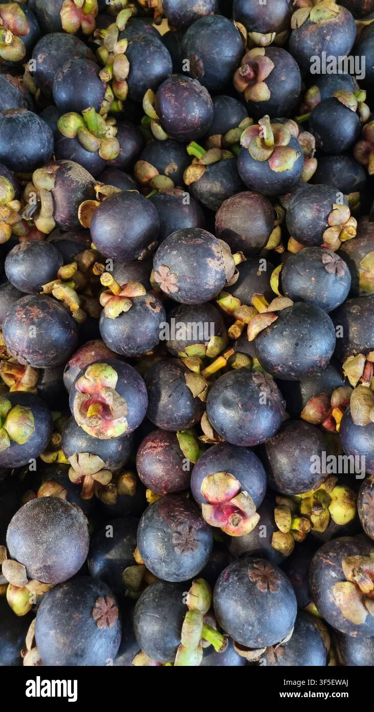Mangoustein, fruit exotique en vrac. Banque D'Images