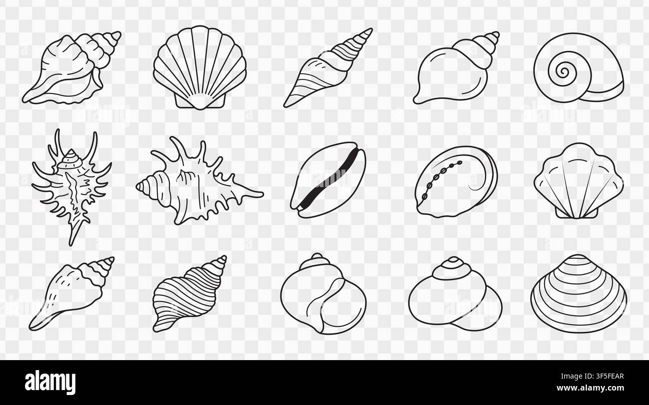 Ensemble de symboles vectoriels linéaires de contours de coquillages marins pour la conception graphique créative marine Illustration de Vecteur