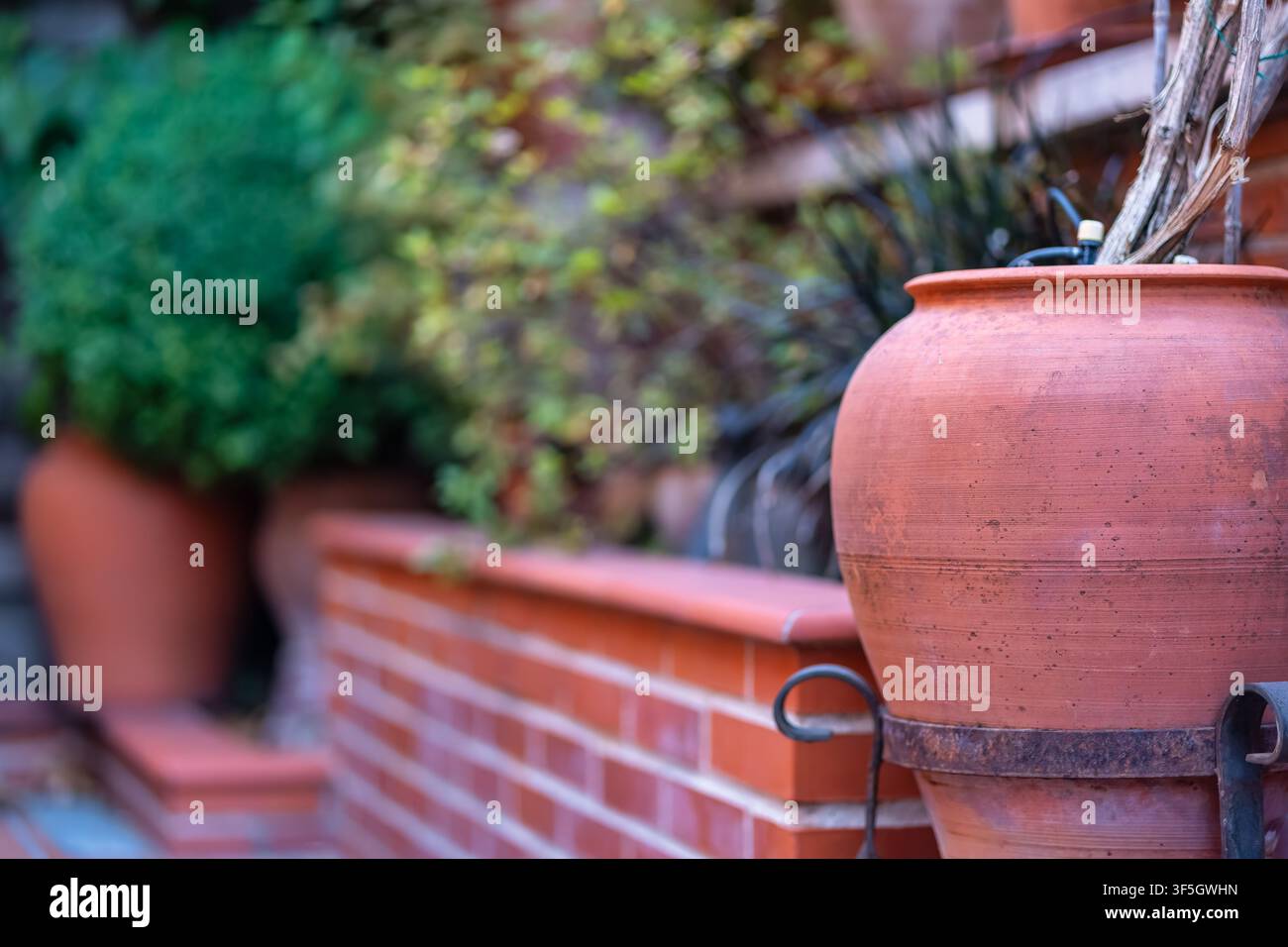 Grand pot en terre cuite à côté d'un mur de briques avec des plantes en pot luxuriantes dans un cadre de jardin Banque D'Images