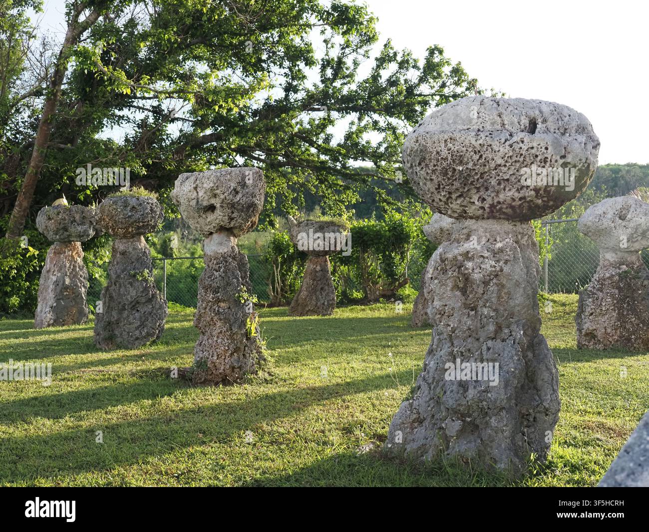 Les Latte Stones alignés à Guam Banque D'Images