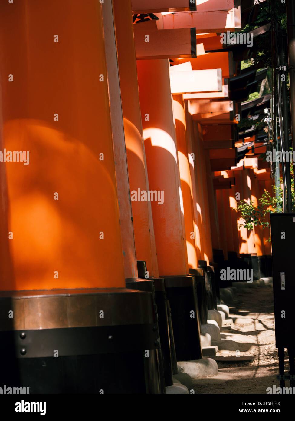 Portes torii vermillon avec des motifs de lumière du soleil et d'ombre au Fushimi Inari Taisha, Kyoto, Japon Banque D'Images