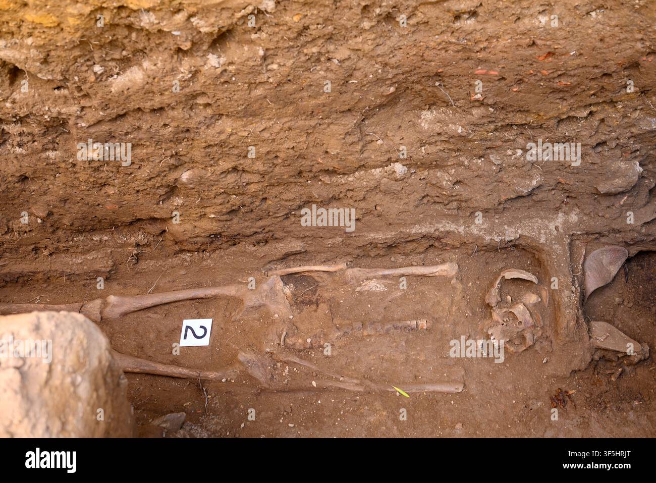 Fosse d'excavation archéologique révélant des restes squelettiques humains enfouis dans d'anciennes couches de sol Banque D'Images