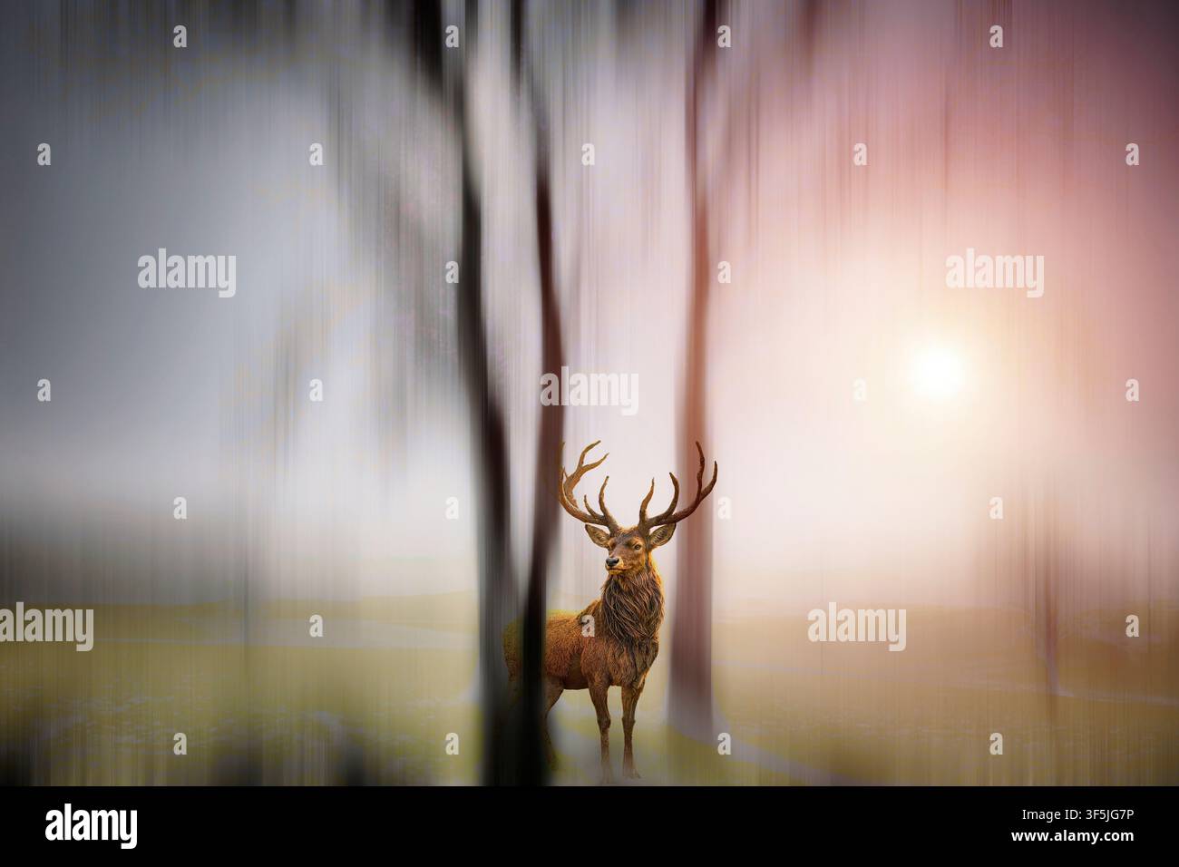 ART PHOTOGRAPHIQUE : "Un moment mythique dans le temps" par Edmund Nagele F.R.P.S. Banque D'Images