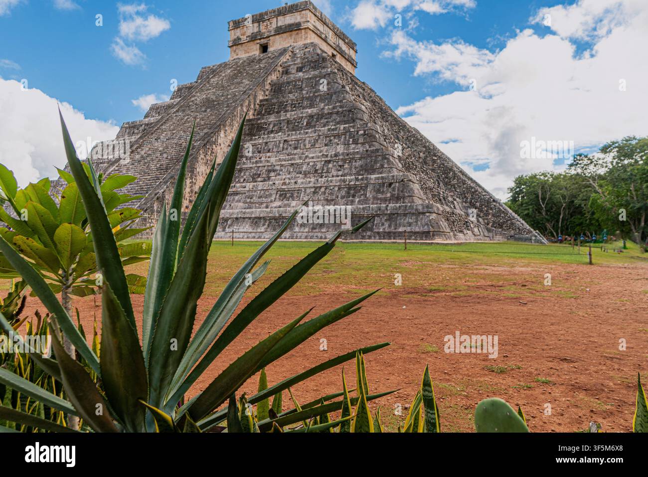 Ancienne pyramide s'élève sous un ciel bleu. Des plantes vertes encadrent le premier plan avec des détails nets. Des marches de pierre baignées de soleil mènent au sommet du temple. La terre rouge s'étend Banque D'Images