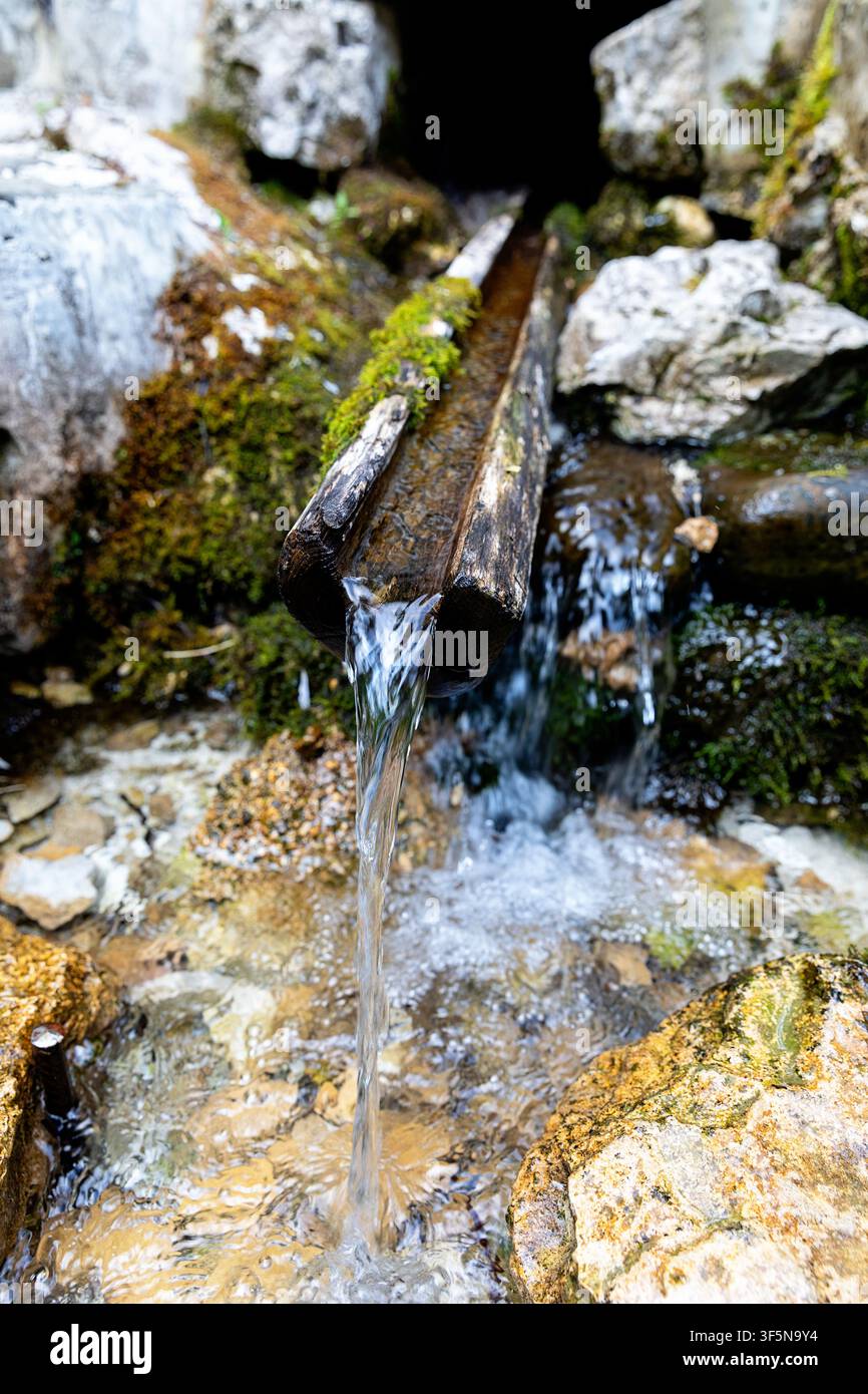 Source de montagne avec de l'eau potable pure coulant sur une planche en bois rustique dans la région alpine pittoresque de la vallée de la Soca, en Slovénie Banque D'Images