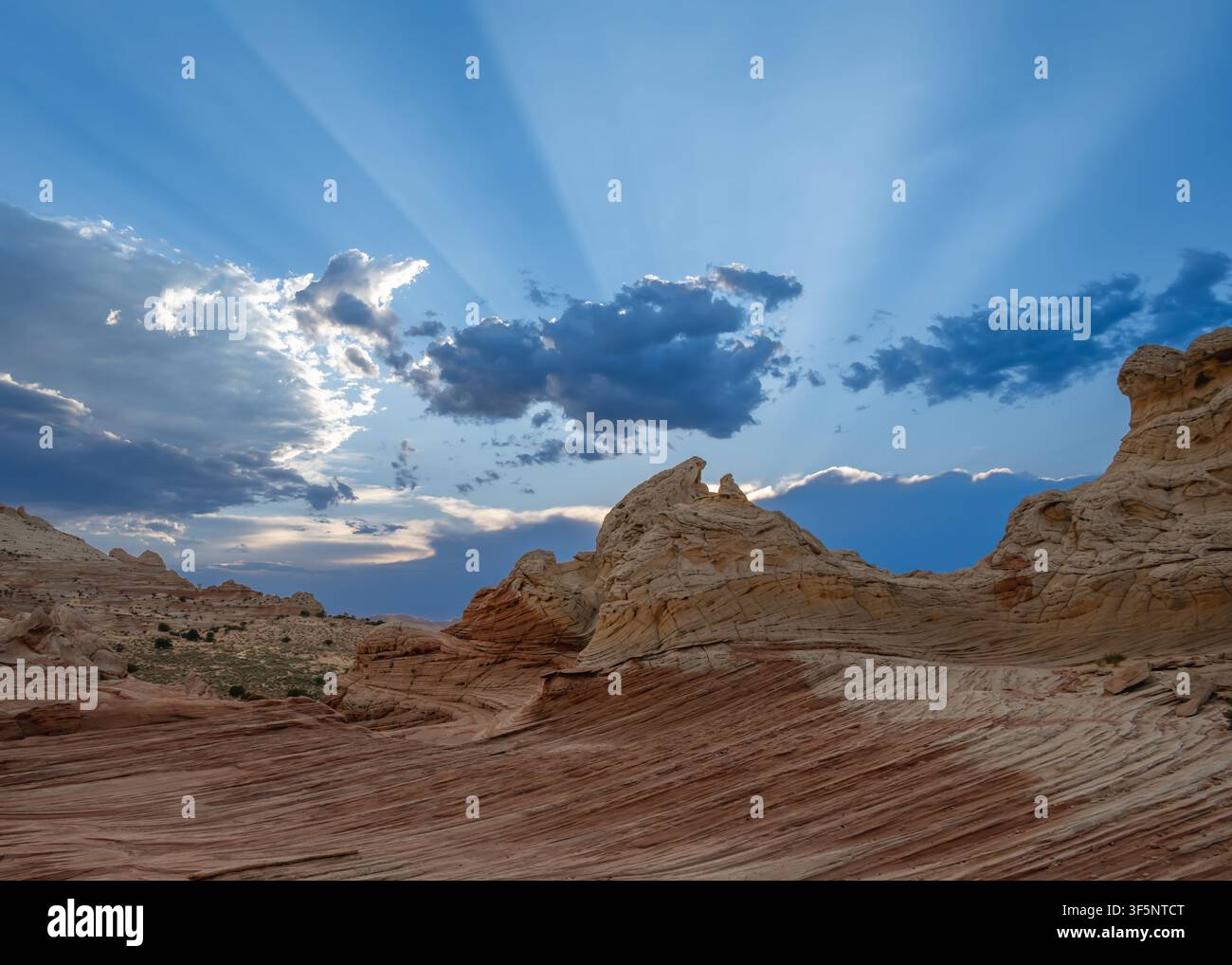 Rays, White Pocket, Monument national des falaises Vermillion, Utah. Banque D'Images