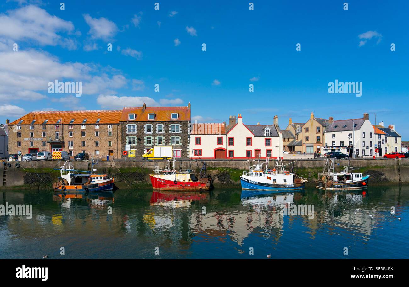 Vue du port d'Eyemouth dans les Scottish Borders, Écosse, Royaume-Uni Banque D'Images
