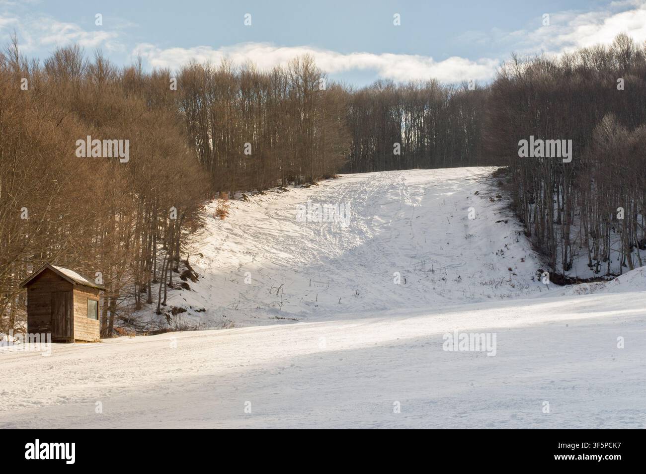 Piste de ski avec de la neige parmi les arbres. Banque D'Images
