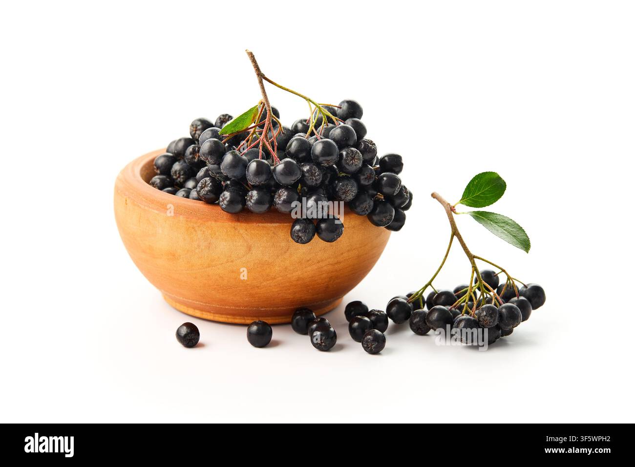 Baies d'aronia fraîchement cueillies dans un bol en bois, isolées sur un fond blanc. Banque D'Images
