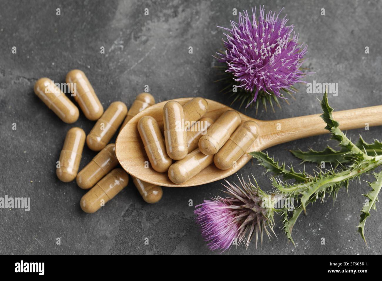 Fleur de chardon-Marie et pilules sur une table grise, vue par-dessus Banque D'Images