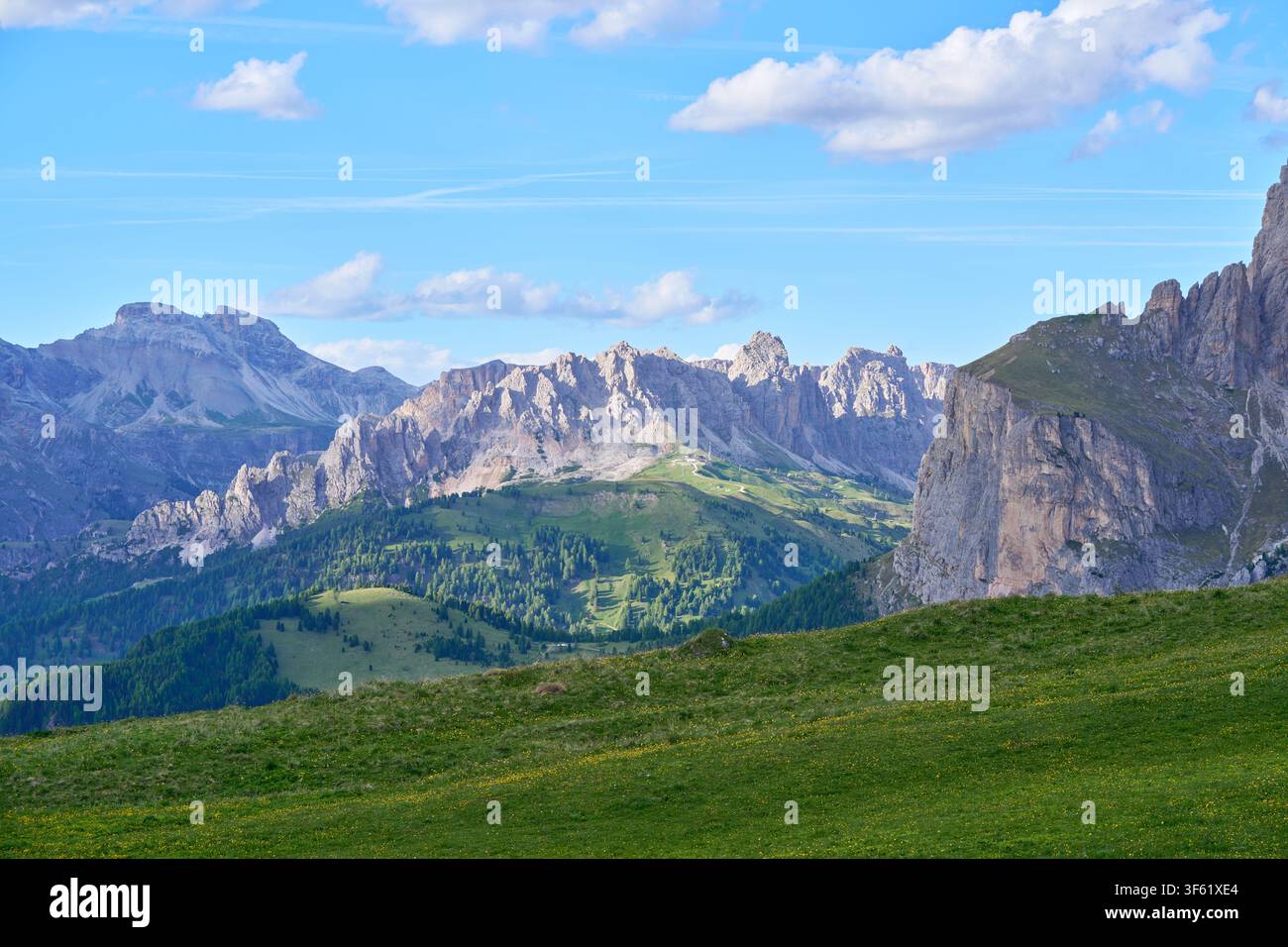 Vallée alpine avec des collines verdoyantes, des forêts et des sommets rocheux sous un ciel bleu parsemé de nuages blancs. Banque D'Images