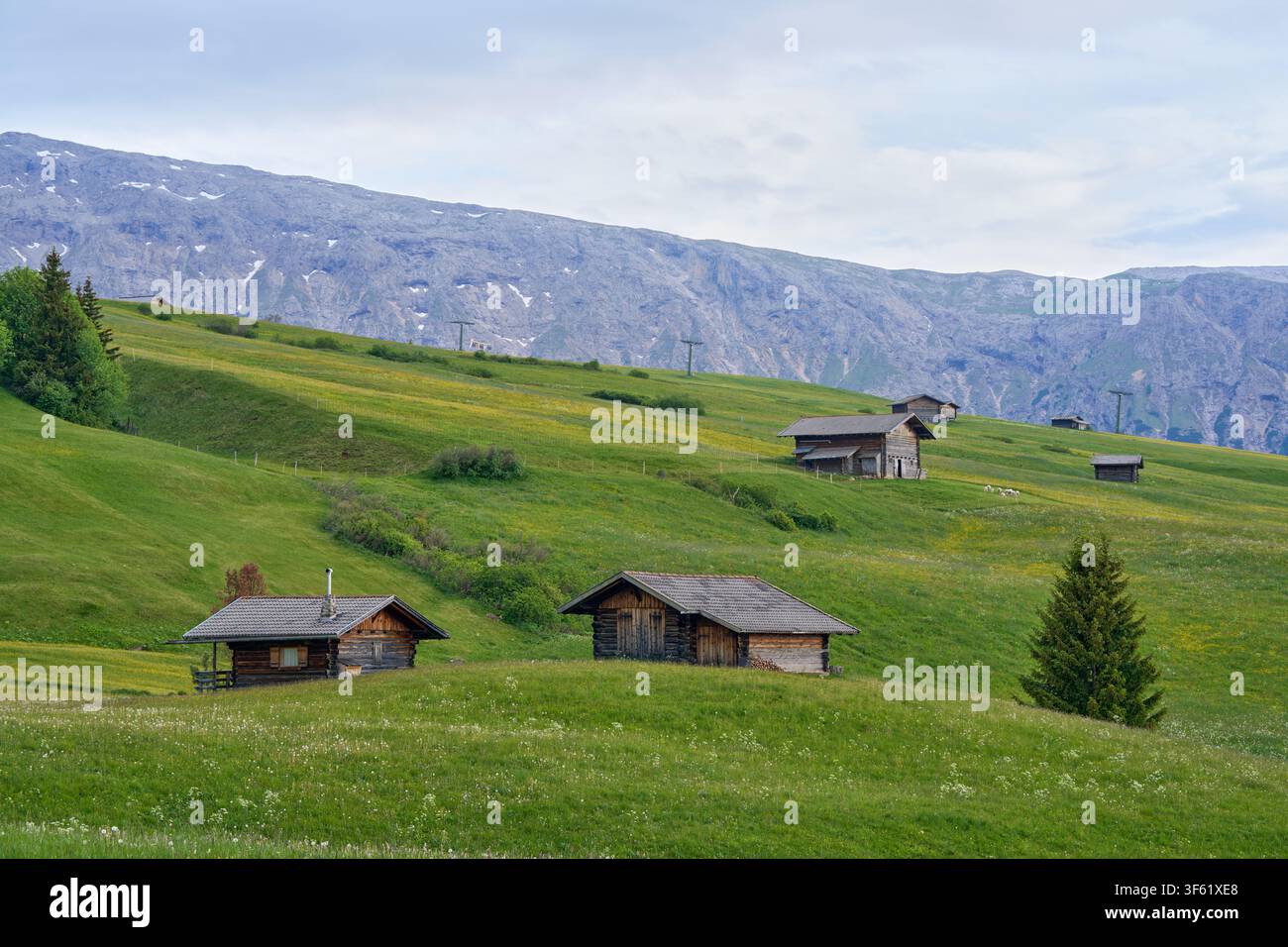 Refuges alpins sur des prairies verdoyantes avec une chaîne de montagnes rocheuses en arrière-plan sous un ciel nuageux. Banque D'Images