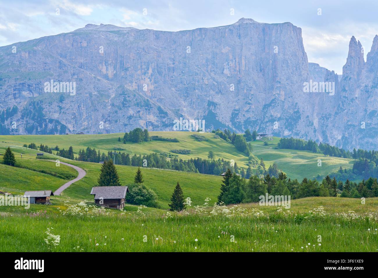 Prairies alpines avec cabanes en bois, chemin sinueux et falaises rocheuses dramatiques sous un ciel nuageux. Banque D'Images