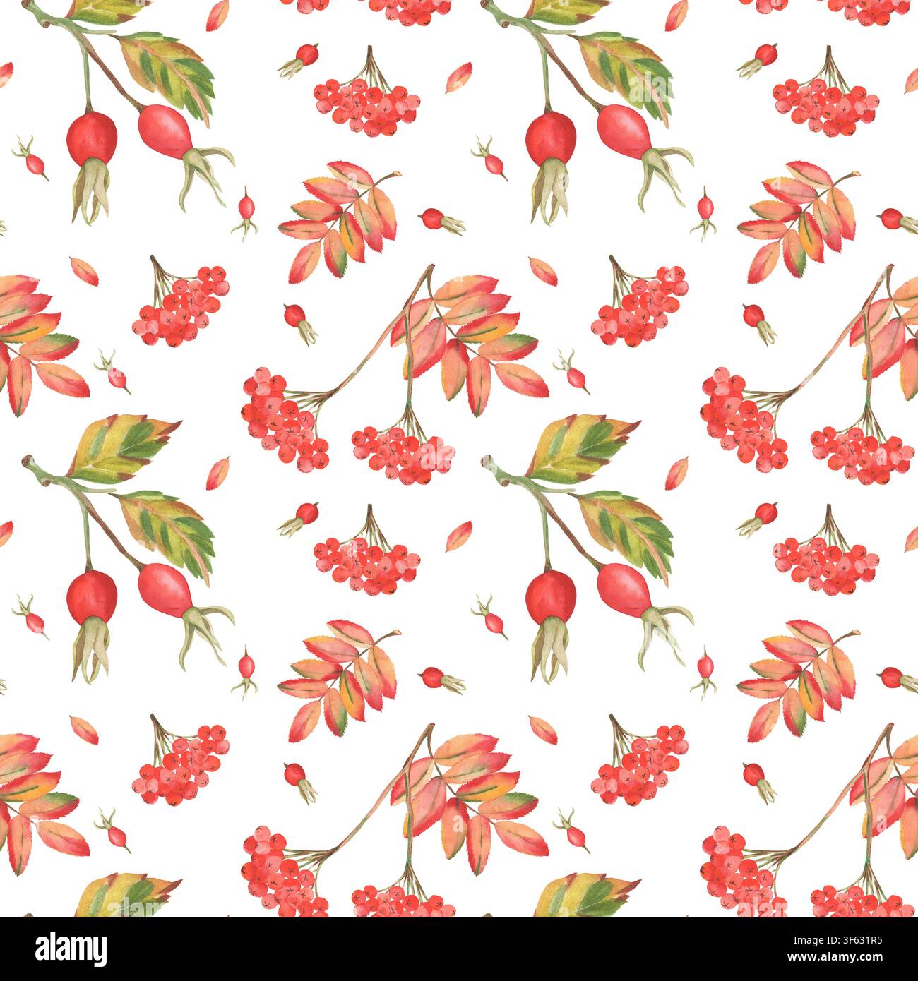 Petit motif sans couture d'églantier à l'aquarelle et de sorbier d'automne Banque D'Images