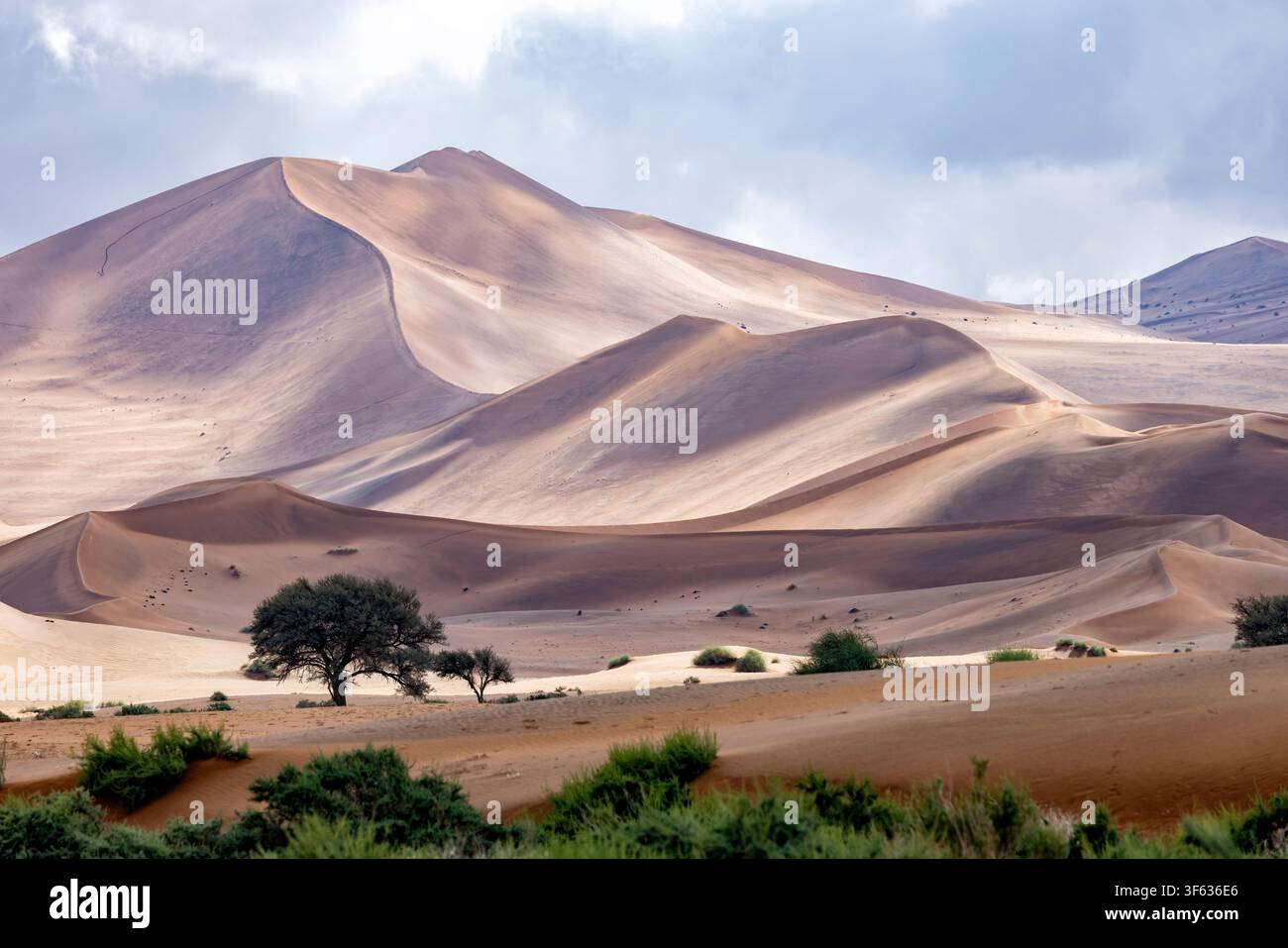 Dunes de sable extra-terrestres près de Sossusvlei dans le parc national Namib-Naukluft, Namibie, Afrique Banque D'Images